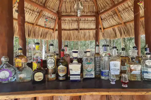 Palapa bar with  tequila and mezcal bottles