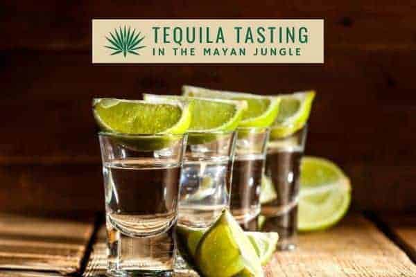 tequila tasting in the jungle