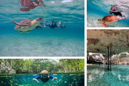 Private tour swim in cenote and swim with turtles from Cancun, Playa del Carmen and Tulum