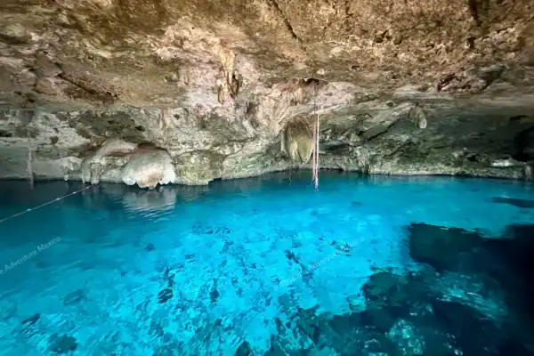 Crystal-clear water  of Dos Ojos cenote