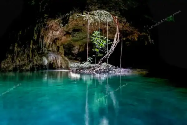 Cenote tours  Riviera Maya iconic Pet Cemetery Sac Actun chamber