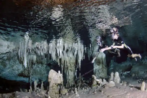 Cenote private tour  snorkeling with flashlight in cave