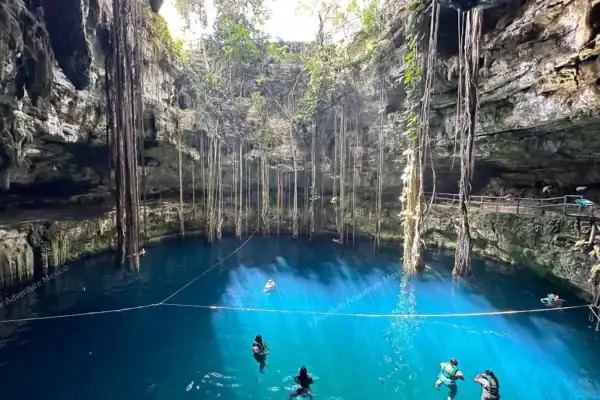 Cenote Oxman with  tree roots and swimmers