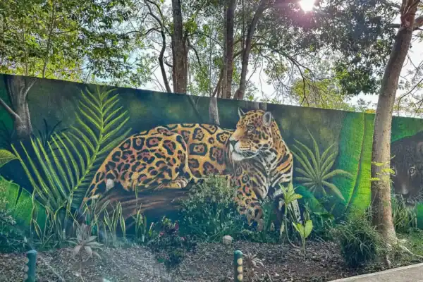 Jaguar tag painting  near Ek Balam entrance