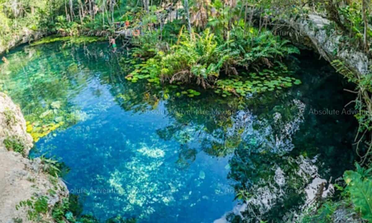 Cenote Nicte-Ha in Tulum: All You Need to Know Before You Go