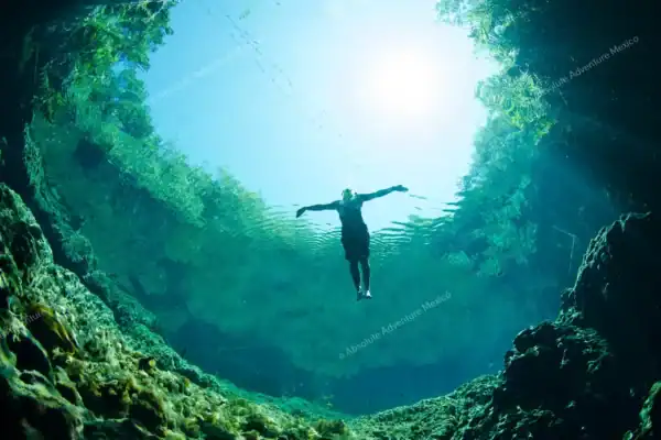 Floating in  open-air cenote surrounded by jungle