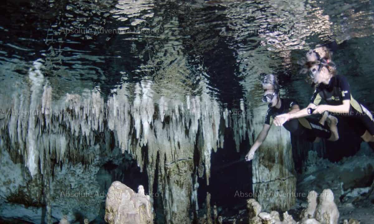 Snorkeling in Cenote : an amazing activity in the Riviera Maya