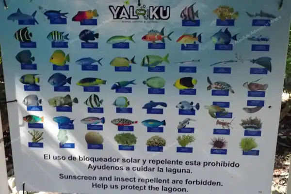 Yal Ku lagoon marine life information board