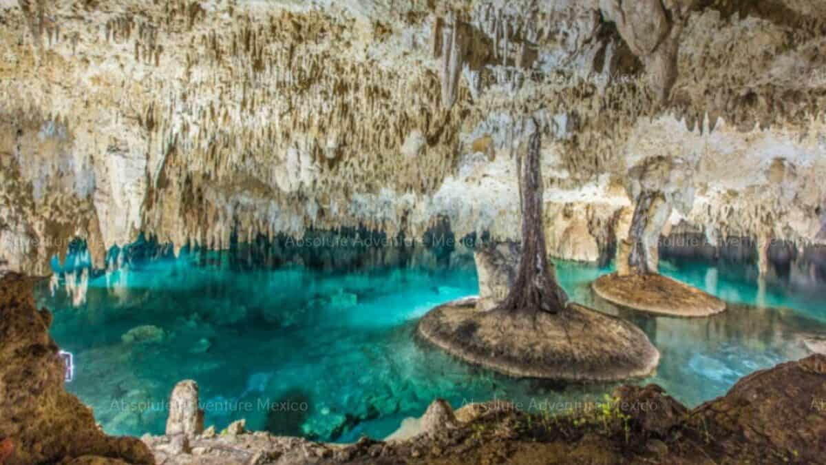 Unveiling Mexico's Cenotes: Exploring the Natural Wonders.