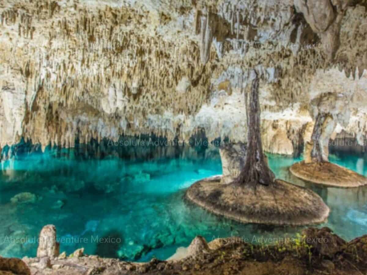 Unveiling Mexico's Cenotes: Exploring the Natural Wonders.
