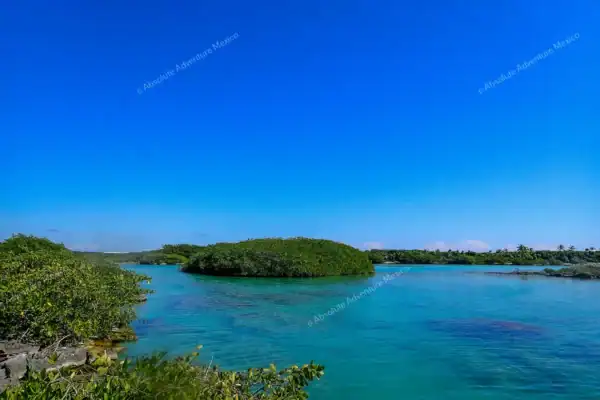 Mangrove islands  landscape at Yal Ku lagoon