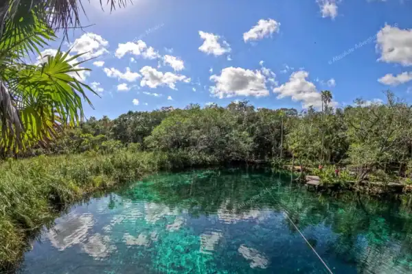 Cenote Corazón surrounded by lush jungle