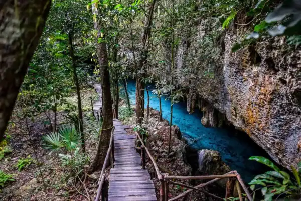 Wooden stairs  leading down to Cenote Pet Cemetery