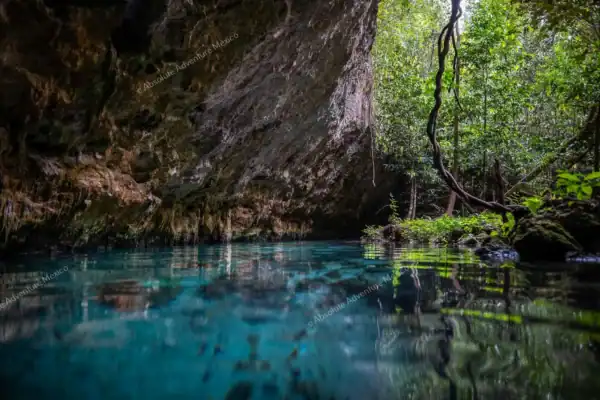 Jungle river  between rocks at Cenote Sac Actun