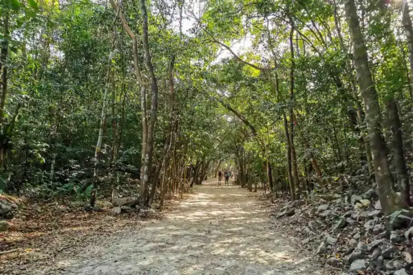 Walking and biking paths at Coba private tour