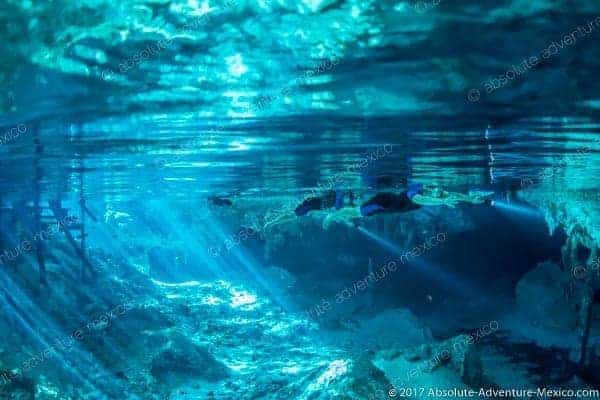 Dos Ojos cenote snorkeling tour