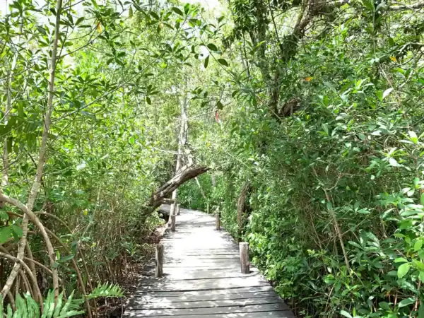 Access path to Kaan  Luum Lagoon