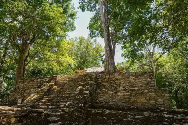 Hidden temple in  jungle at Muyil