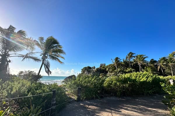 tulum Tours from bahia principe hotels
