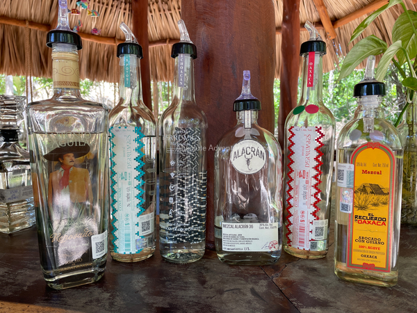mezcal tour playa del carmen 1