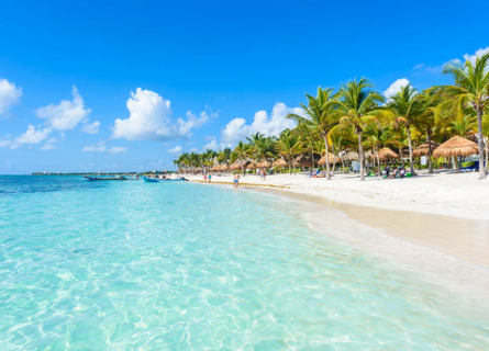 All Private Tours