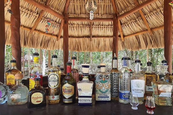 private tours tequila