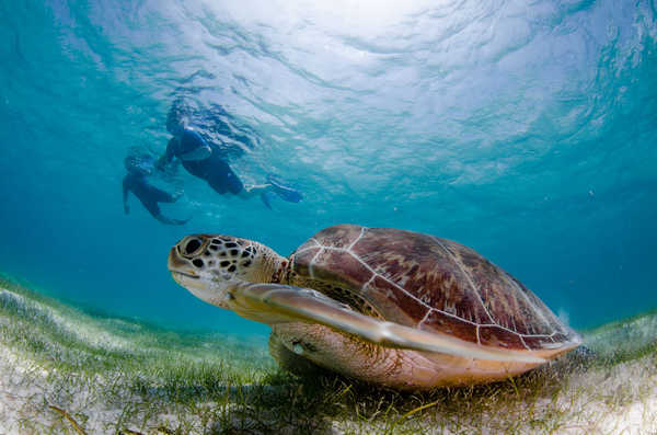 private akumal tour