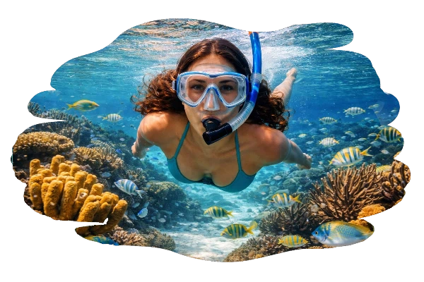 Reef Snorkeling