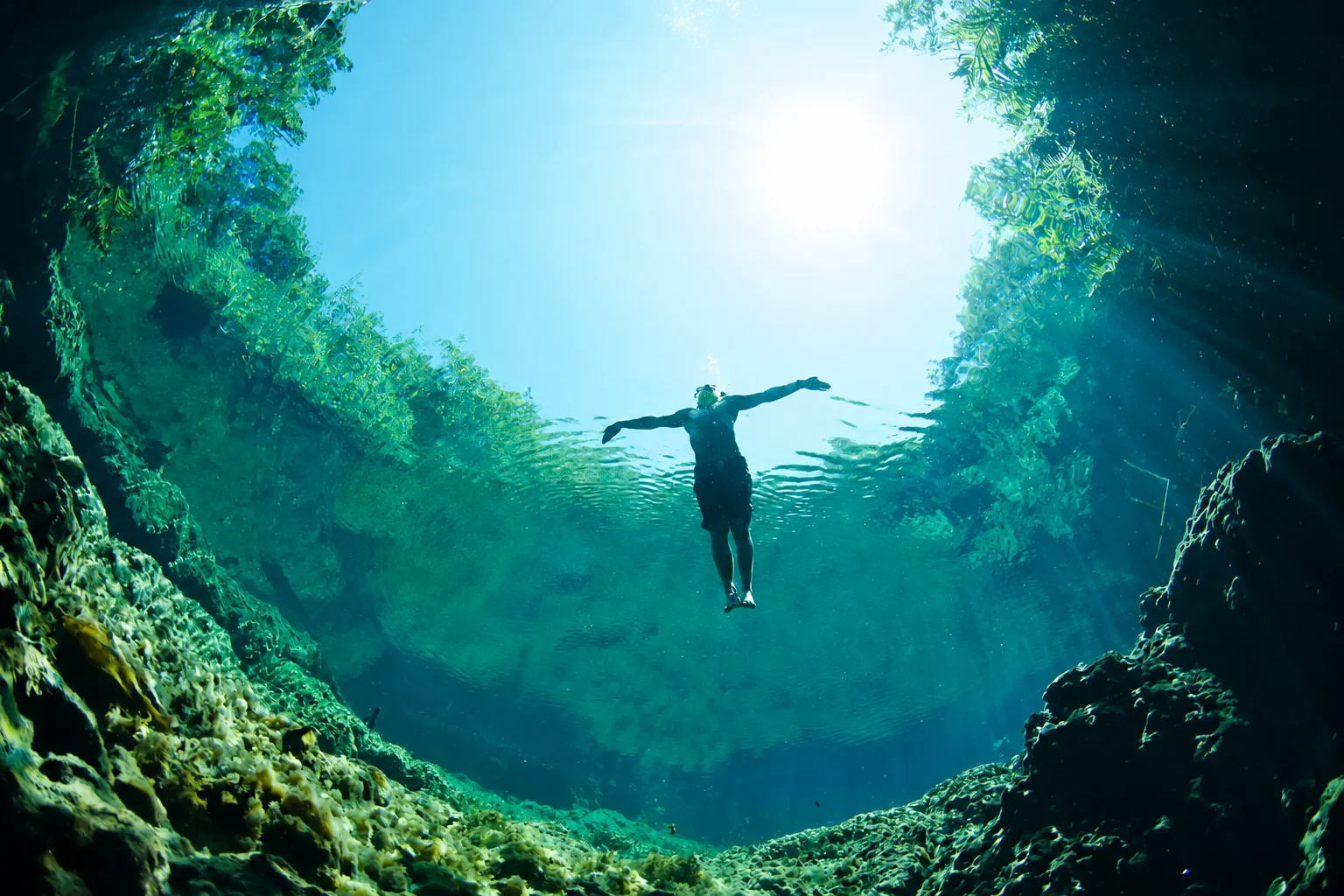 Swimming in the clear water of a Riviera Maya cenote