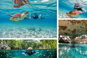 Sea turtles and cenote snorkeling in Akumal — photo collage