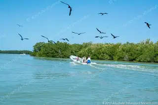 boat tour rio lagartos