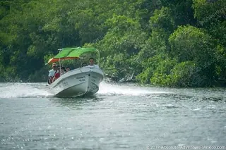 boat tour rio lagartos
