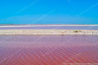 Pink Lakes Las Coloradas
