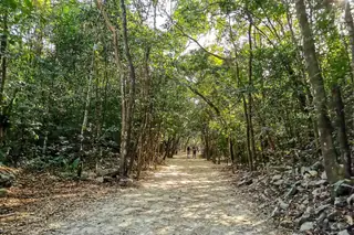 Walking and biking paths at Coba private tour