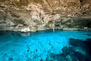 Crystal-clear water
  of Dos Ojos cenote