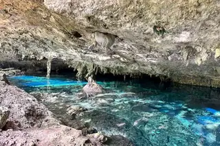Second Eye
  underwater river at Dos Ojos