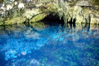 Calm surface of Dos
  Ojos cenote water