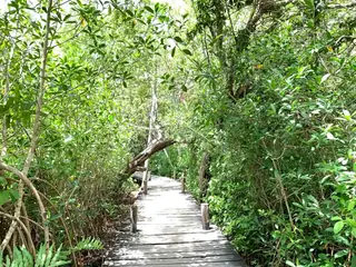 Access path to Kaan
Luum Lagoon