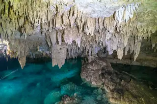 Stalactite
  formations inside Cenote Pet Cemetery