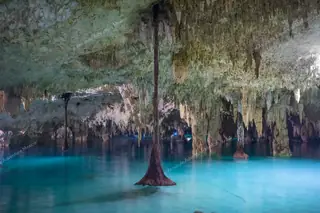 Tree root in center of chamber at Cenote Sac Actun
