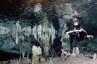 Snorkeler in cave
  with stalactites Cenote Sac Actun