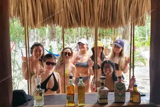 Group of girls in
  swimsuits sipping tequila