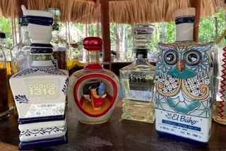 Artistic design of
  tequila bottles