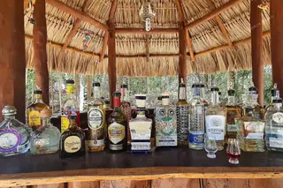 Palapa bar with
  tequila and mezcal bottles