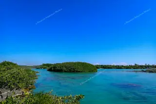 Mangrove islands
landscape at Yal Ku lagoon