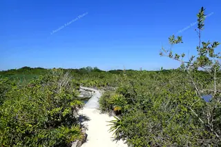 Yal Ku lagoon
access path through jungle