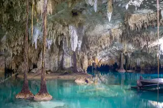 Cenote tours
  Riviera Maya Pet Cemetery cave roots and formations