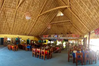 Cenote private tour
  lunch under palapa roof