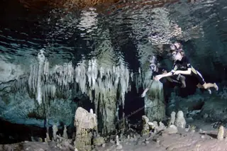 Cenote private tour
  snorkeling with flashlight in cave