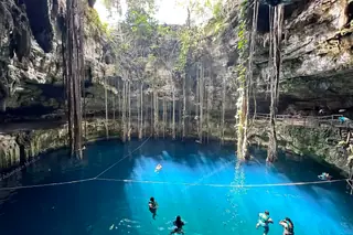 Cenote Oxman with
tree roots and swimmers